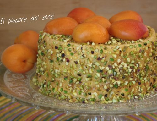 Chiffon cake con albicocche e pistacchi (stampo 17,7 cm x 11,4 cm)
